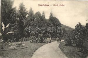 Nagybánya, Baia Mare; Liget / park