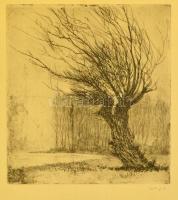 László Gyula (1910-1998): Kopár fa. Rézkarc, papír, jelzett, üvegezett keretben, 29×27 cm