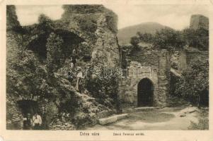Déva, vár, Dávid Ferenc emlék / castle garden, monument