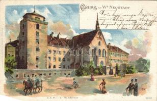 1899 Wiener Neustadt Litho
