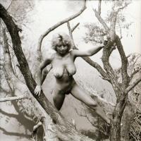 cca 1973 Mint a mókus fenn a fán, szolidan erotikus felvételek, 5 db vintage negatív, 6x6 cm