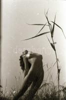 cca 1975 Kilenc modell egy-egy felvétele, 9 db szolidan erotikus negatív, 36x24 mm