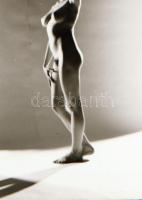 cca 1975 Kilenc modell egy-egy felvétele, 9 db szolidan erotikus negatív, 36x24 mm