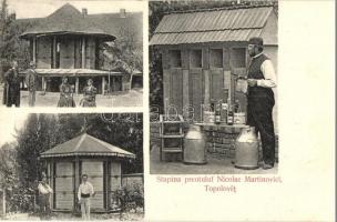 Nagytopoly, Topolovec, Topolovatul Mare; Nicolae Martinovici lelkész méhészete / Stupina preotului Nicolae Martinovici / the priest's beekeping farm, apiary