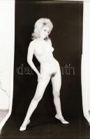 cca 1972 Karcsú lányok a műteremben, 26 db szolidan erotikus, vintage negatív, 36x24 mm