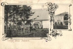 Bánffyhunyad, Huedin; Szolgabírósági hivatal, Dubay Pál üzlete és saját kiadása / constables office, publishers shop. floral Art Nouveau (apró szakadások / tiny tears)