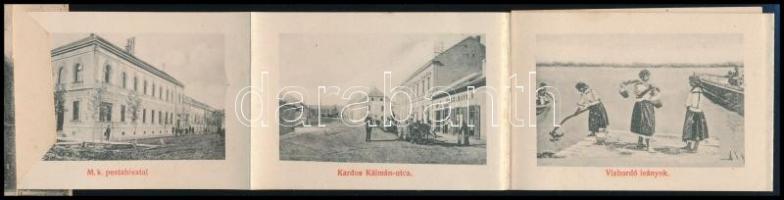 Mohács, állami polgári iskola. Leporellolap belül selyemfonoda, hajószenelés, Fischhof Ignácz és Peg...