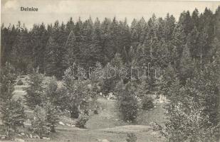 Delnice, erdő / forest (fl)