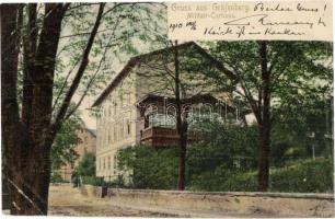 24 db régi osztrák városképes lap, vegyes minőség / 24 pre-1945 Austrian town-view postcards, mixed ...