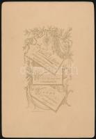 cca 1900 Család műtermi fotója, Váradi J. és társa Újpest műterméből, keményhátú fotó, 14x10 cm