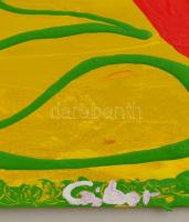 Czibor Ildikó (1969- ): Mágikus hattyú, olaj, karton, jelzett, keretben, 30×40 cm