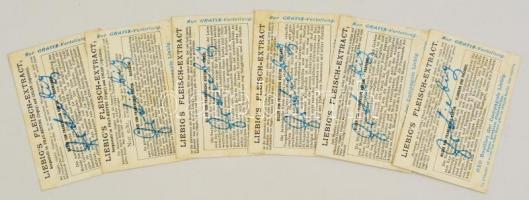 cca 1900 Liebig litho gyűjtőkártya sorozat 6 db / Litho collectors card 6pieces 10x7 cm