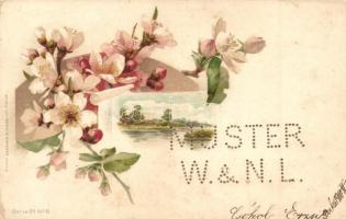 1900 Floral greeting litho art postcard. Wezel & Naumann Serie 29. No. 6., Leipzig. Test copy of Muster W. & N. L.