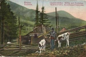 Feketebérc, Csornahora, Czarnohora, Czarnej Górze, Chornohora; Koliba pod Turkulem / Faház a Turkul hegycsúcs alatt. E. Schreier kiadása / wooden house under Turkul peak + Militär-Zensur-Kommission Stanislau (EK)