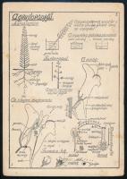 Vázlatok a természetrajztanításához. Összeállította és rajzolta: Jegyes Sándor. A Gyakorló Polgári I...