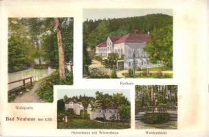 Terme Dobrna, Bad Neuhaus bei Cilli; Waldpartie, Kurhaus, Herrenhaus mit Wiesenhaus, Waldandacht / forest, spas