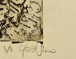 Glöckl János (?-): Vörösmarty: A Szent Ember. Rézkarc, papír, jelzett, 14×13 cm