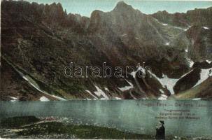 Tátra, Tengerszem-csúcs / mountain peak, lake