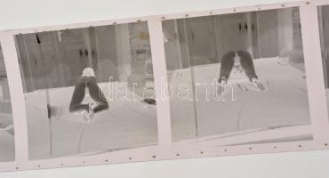 cca 1972 Erotikus és pornográf fotónegatívok, 12 felvétel 1 tekercsen, 5,5x5,5 cm