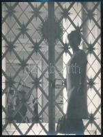 Dénes Imre: Sziluett. Vintage fotóművészeti alkotás, hátoldalán feliratozva, 24x18 cm