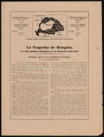 1920 Irredenta nyomtatvány spanyol és angol nyelven, 8p