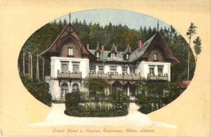 Mezni Louka, Rainwiese; Grand Hotel und Pension Rainwiese