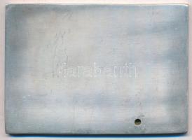 2008. "M0 Autóút Északi Szakasz Megyeri Híd - Épült 2006-2008." ezüstözött fém plakett, be...