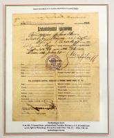 A magyar királyi 9. kassai honvéd gyalogezred története. Különleges, egyedi összeállítás az első vil...