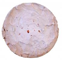 Madarassy Walter (1909-1994) 1976. "II. Rákóczi Ferenc" emlékérmének gipsz nagymintája (13...