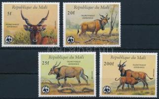 WWF: Jávorantilop sor, WWF: Common eland set
