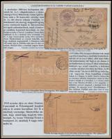 A cs. és kir. 29. losonci tábori vádászzászlóalj és a cs. és kir. 24. tábori vadászzászlóaljának tör...