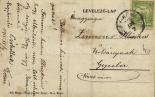 Nagykomlós, Comlosu Mare; San Marco kastély / castle (EK)