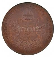 Beck Ötvös Fülöp (1873-1945) 1896. "1896-iki Ezredéves Országos Kiállítás / Közreműködők Érme&q...