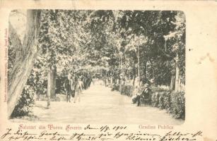 Turnu Severin, Szörényvár; Gradina Publica. Librarie Josef Frisch / public garden, park (EK)