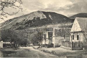 Detrekőváralja, Plossenstein, Plavecké Podhradie; utcakép várral, üzlet / street view with castle, shop