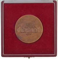 Csíkszentmihályi Róbert (1940-) ~1970-1980. "Arany János Pedagógiai Díj / Pest Megyei Tanács V....