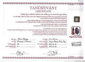 Marosi György (1964-): Hommage á Fibonacci. Giclée
papír, jelzett, számozott (1/6) 54x50 cm
mellék...