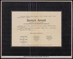 A cs. és kir. 101. békéscsabai gyalogezred története. Különleges, egyedi összeállítás az első világh...