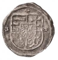 1501-1526K-G Obolus Ag "II. Ulászló (II. Lajos alatt)" (0,17g) T:2
Hungary 1501-1526K-G O...
