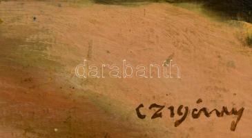 Czigány jelzéssel: Virágzó fa. Olaj, karon, 37×29 cm