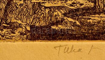 Tuka László (1924-2007): Magányos fa. Színes rézkarc, papír, jelzett, 34x20 cm