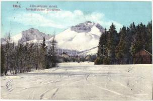 Tátraszéplak, Tatranska Polianka; Ski-Wiese / sírét télen, Cattarino S. utóda Földes Samu kiadása / ski field in winter (EK)