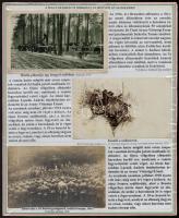 A magyar királyi 10. miskolci honvéd gyalogezred története. Különleges, egyedi összeállítás az első ...