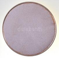 Csóka Zsuzsa (1962-) DN "Tessedik Sámuel Főiskola" ezüstözött fém emlékérem (70mm) T:1- ki...