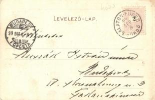 1899 Balatonfüred, Fürdőház, fürdőzők, csónakázók, gőzhajó. Bruchsteiner és Fia Art Nouveau litho (E...