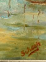 Scheeh jelzéssel: Balatoni kikötő. Olaj, vászon, fa keretben, 40x50 cm