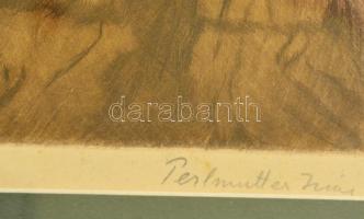 Perlmutter Izsák (1866-1932): Életkép a szobában. Színes rézkarc, papír, jelzett, üvegezett keretben...