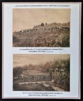 A magyar királyi 17. székesfehérvári honvéd gyalogezred története. Különleges, egyedi összeállítás a...