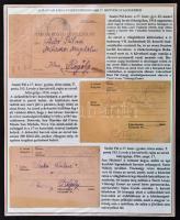 A magyar királyi 17. székesfehérvári honvéd gyalogezred története. Különleges, egyedi összeállítás a...