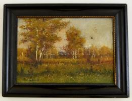 Kalmár jelzéssel: Fás táj. Olaj, vászon, sérült, fa keretben, 21x30 cm